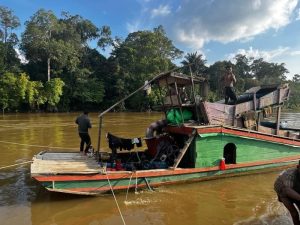 Dua Penambang Ilegal Ditangkap di Sungai Pawan
